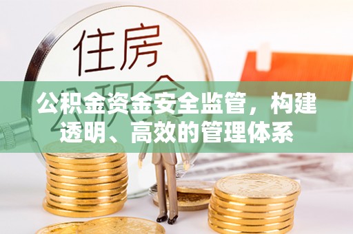 朱家尖公积金资金安全监管，构建透明、高效的管理体系