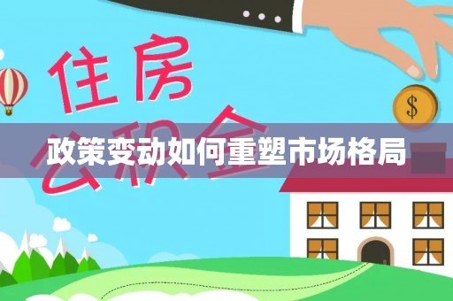 朱家尖政策变动如何重塑市场格局