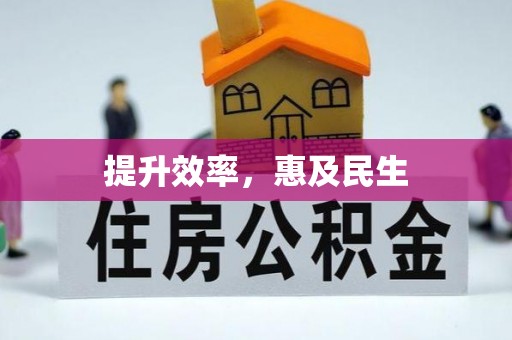 朱家尖提升效率，惠及民生