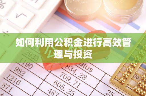 朱家尖如何利用公积金进行高效管理与投资
